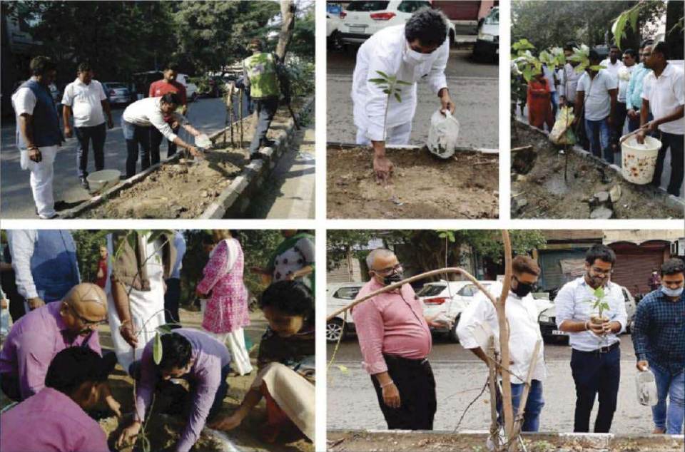 Tree plantation drives across India